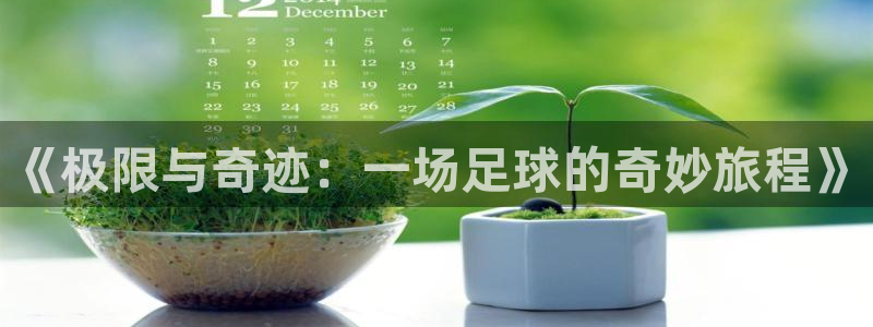 必一运动体育官网