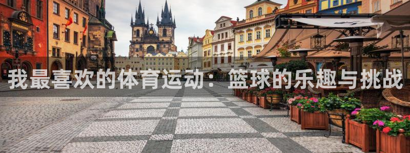 必一运动体育官网：我最喜欢的体育运动：篮球的乐趣与挑战