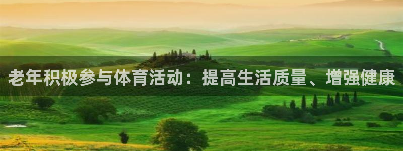 bsport必一运动：老年积极参与体育活动：提高生活质量、增强健康