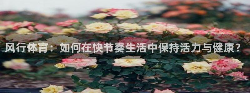 必一运动bsport体育：风行体育：如何在快节奏生活中保持活力与健康？
