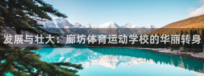 必一运动app：发展与壮大：廊坊体育运动学校的华丽转身