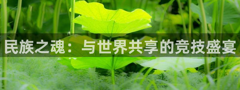 必一运动bsport体育：民族之魂：与世界共享的竞技盛宴