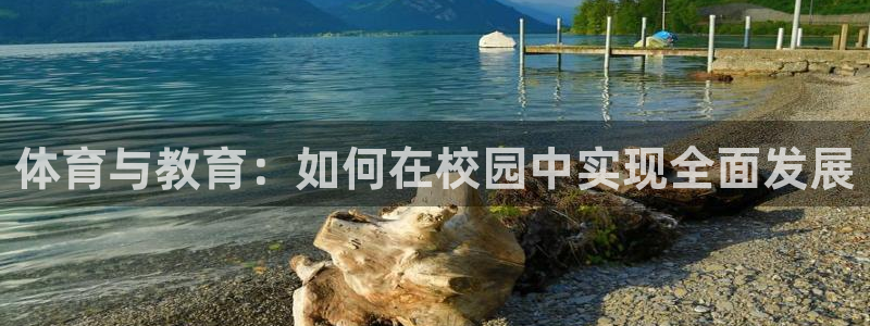 必一运动：体育与教育：如何在校园中实现全面发展