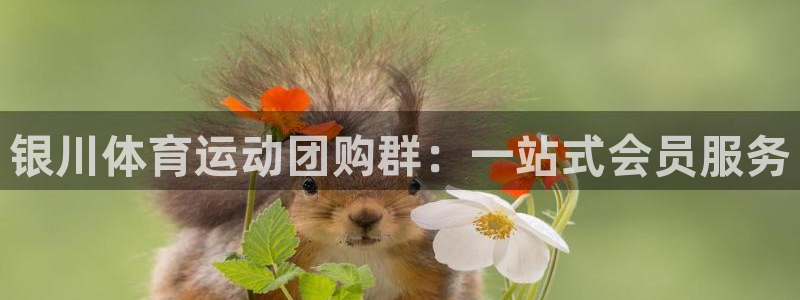 bsports官网 必一运动：银川体育运动团购群：一站式会员服务