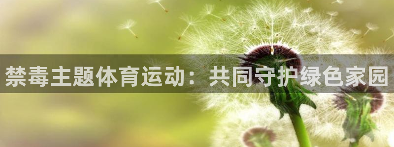 必一运动体育官网