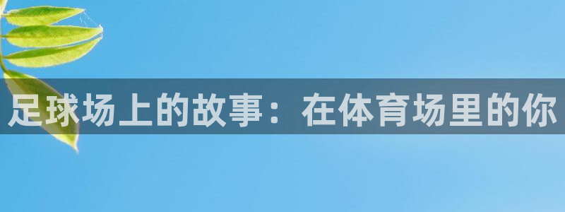 b体育必一运动官网