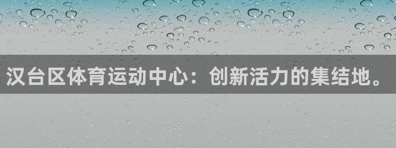 必一运动官网：汉台区体育运动中心：创新活力的集结地。