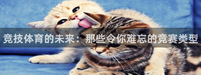 b体育必一运动官网：竞技体育的未来：那些令你难忘的竞赛类型
